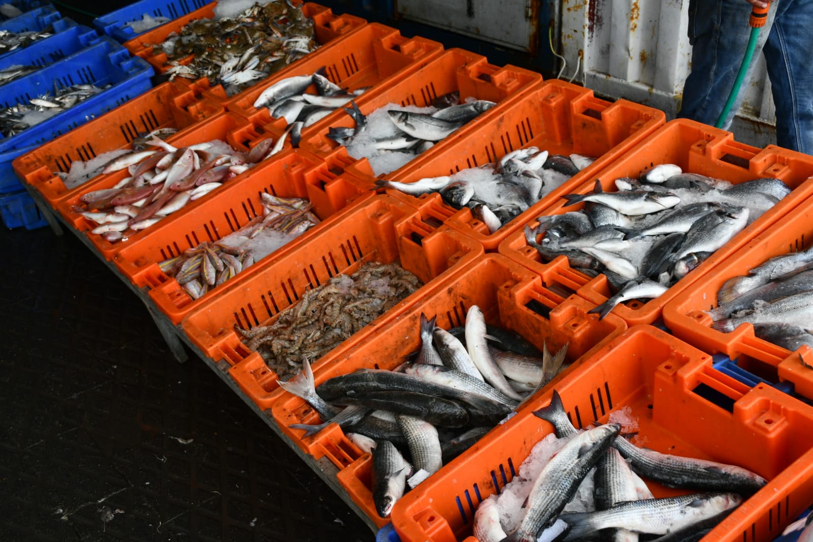 WhatsApp Image 2020-05-18 at 2.29.42 AM (1).jpeg.jpeg